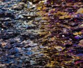 Suspension des exportations de lithium et de minerais bruts par le Zimbabwe