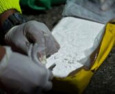 Aéroport de Douala : Saisie de 1,057 T de cocaïne et 1,435 T de Tramadol