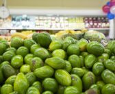 Le Kenya exporte son premier chargement en exemption de droits de douane vers la Chine