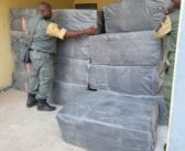 10 000 téléphones mobiles et 4000 pièces d&rsquo;accessoires saisis sur un contrebandier à Garoua