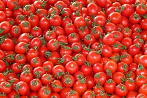 Suspension des exportations de tomates fraiches par le Burkina Faso