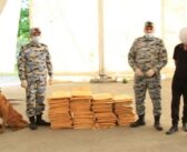 Azerbaïdjan : plus de 110 kg de stupéfiants découverts dans un chargement de pastèques