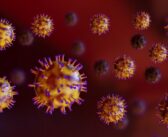 République démocratique du Congo : une nouvelle épidémie d’Ebola déclarée dans la province de l’Ituri
