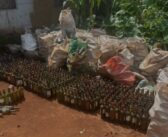 Démantèlement de deux unités clandestines de fabrication de vin et de whisky frelatés à Bandjoun