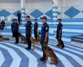 Cérémonie de remise des diplômes de la 23ème promotion des conducteurs de chiens des Douanes