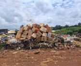Le Cameroun détruit des médicaments contrefaits malgré la persistance du trafic illicite