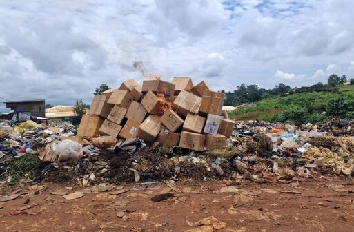 Le Cameroun détruit des médicaments contrefaits malgré la persistance du trafic illicite