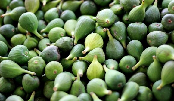 45 pistolets de combat découverts dans un camion turc transportant des figues